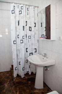 皮特什蒂梅特罗普尔酒店的浴室设有白色的淋浴帘和水槽