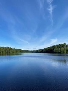 赖特维克Rompelberg boende i Rättvik的一大片水,有树在背后