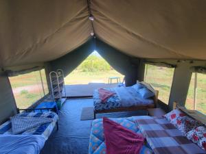 SekenaniNyangulo maasai mara safari camp的帐篷配有两张沙发和一张床