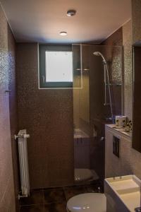特里格拉德Trigrad Hotel的带淋浴、卫生间和盥洗盆的浴室