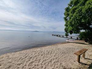 HamuranaLake Haven - on the lakefront的坐在海边的长凳