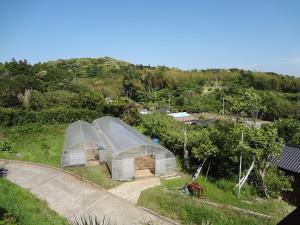 南房总市南房总市农场旅馆山林小屋的相册照片