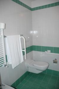 博尔扎诺菲拉酒店的绿色和白色的浴室设有卫生间和淋浴。