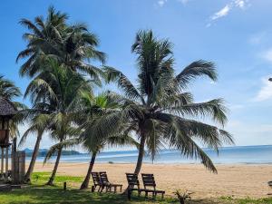 春蓬Chumphon Cabana Resort的海滩上两棵棕榈树和两把椅子