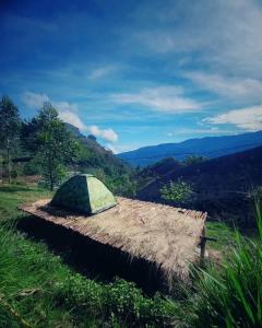 蒙纳Roamrustic Camp Vattavada的绿色帐篷,位于草地上