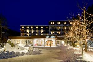 锡利安蔚兰布伦恩酒店的夜间下雪的酒店