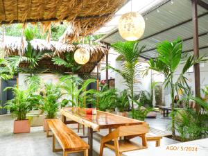 别霍港La Tribu Boutique Hostel for women的一间设有木桌和盆栽的餐厅