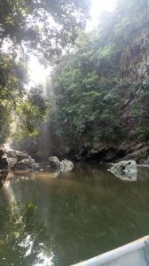 Loma del NaranjoHospedajes lago bayano的树丛旁的河水体