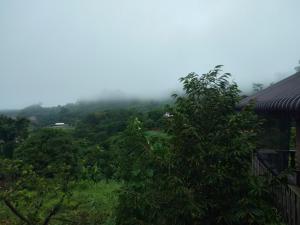 邦隆Banlung Mountain View Treks & Tours的天空中云雾的森林景观