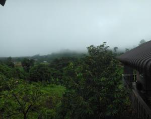 邦隆Banlung Mountain View Treks & Tours的享有森林美景。