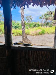 塔纳岛Montanna lodge的小屋的树