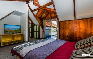 提比里亚美丽湖景木屋公寓的一间卧室配有一张床和一台平面电视