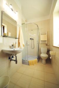 克拉科夫威拉朱莉娅旅馆的带淋浴、盥洗盆和卫生间的浴室