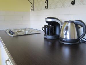 MerseloPipowagen Minicamping De Linde的厨房柜台配有烤面包机和茶壶