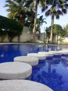 莫莱拉Apartamento Migdia-Moraira的棕榈树游泳池里的一排凳子