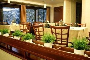 索非亚埃迪酒店的一间设有桌椅的餐厅,种植了盆栽植物