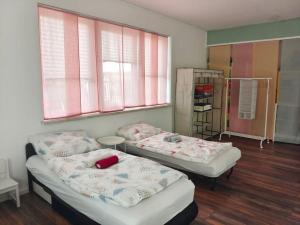 林茨Spacious Apartment in Calm Area for Groups or Families的带2扇窗户的客房内的2张床