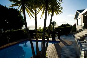 克尼斯纳坎德尔伍德酒店的一座棕榈树环绕的游泳池