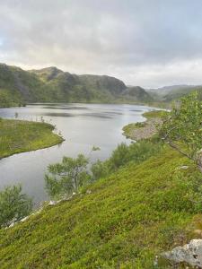 KjøllefjordOvernatting Kjøllefjord, Hybelleilighet med kjøkkenkrok og eget bad的享有山丘上的湖景