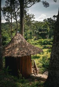 武吉拉旺Eco Conservation Landak Luxury Tents的森林中带茅草屋顶的小小屋