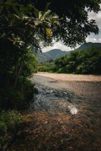 武吉拉旺Eco Conservation Landak Luxury Tents的一条河,河的两边有岩石和树木