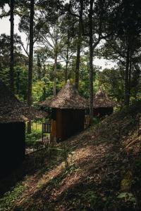 武吉拉旺Eco Conservation Landak Luxury Tents的森林中间的一群小屋