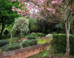 安德伯格Birches Cottage & the Willows Garden Room的砖墙上种有粉红色花的花园