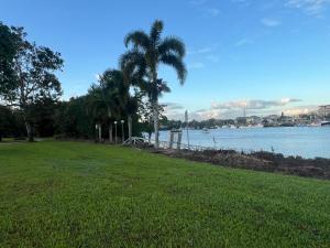 因尼斯费尔Innisfail Riverfront Motel的棕榈树和水体的公园