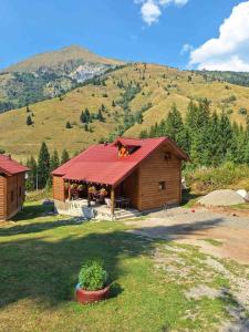 普拉夫GAGO’S WOODEN HOUSE的小屋,小屋的屋顶上住着一只狗