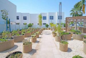 阿布扎比Bloomfields 3br Townhouse Noya In Yas Island的建筑物内一排盆盆栽植物