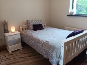 Rake StreetCreevy Annex - 2 bedroom Self Catering Accomodation的一间卧室配有一张床和一个带灯的床头柜