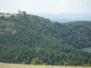 Saint-Victor-sur-LoireTénorilo的一座有树木的山丘和一座城堡