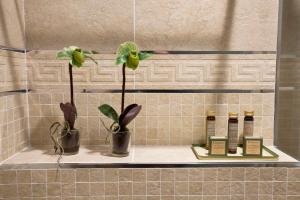 卡斯托里亚多特索酒店的浴室里的一个架子,上面有两株植物和蜡烛