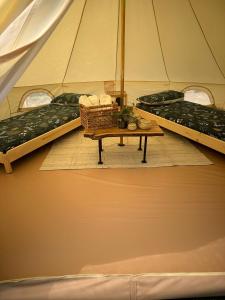 Sicignano degli AlburniGlamping Di Palma的一间设有两张床的房间和一张帐篷内的桌子