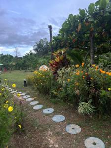 Camping La Bucara的花园,花丛和石头