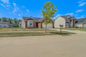 罗缪勒斯Michigan Home with Yard, 3 Mi to Detroit Airport的前面有一棵树的房子