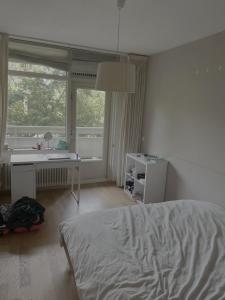 埃因霍温Spacious room in a shared apartment in eindhoven的一间卧室配有一张床、一张书桌和一个窗户。