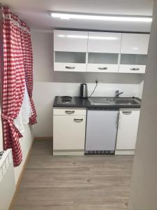 格施泰格维勒Tiny Apartment In Swiss Alps的小厨房配有白色橱柜和水槽