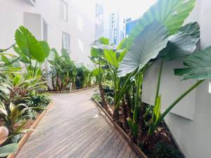 悉尼SPR Serivce Apartment Zetland 2 bedrooms 3 beds的树木和植物的建筑物走廊