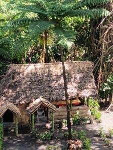 LankourouGlowing Mountain tree house的草屋顶和棕榈树小屋