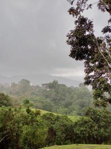 萨兰托Hostal Bamboo的享有郁郁葱葱的绿色山丘和树木的景致