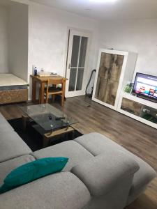 汉诺威Messeapartment Hannover-city的带沙发和平面电视的客厅