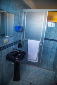 普诺Wisny Inn的一间带水槽和淋浴的浴室