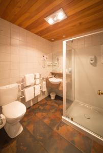 旺格努伊锡耶纳汽车旅馆的浴室配有卫生间、盥洗盆和淋浴。