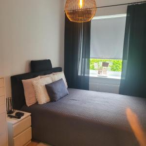 汉诺威Messeapartment Room Agancy Hannover-Garbsen的一间卧室配有一张带窗户和吊灯的床。