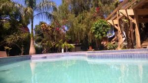 伊瓜苏港Petit Hotel Caraguata的一个倒着树木的游泳池
