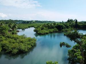 卢纳将军城Private Villa with Pool - Kalani River Villas的树木繁茂的河流的空中景色