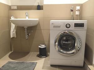 海德堡林赫尔岑德老城酒店的浴室内配有洗衣机和水槽。
