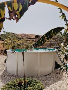 米哈斯Glamping Finca el Olivo的沙漠中的热水浴池,棕榈树