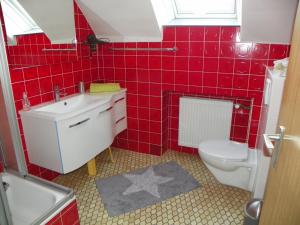 巴特德里堡Reiter- und Ferienhof Redder的红色瓷砖浴室设有卫生间和水槽